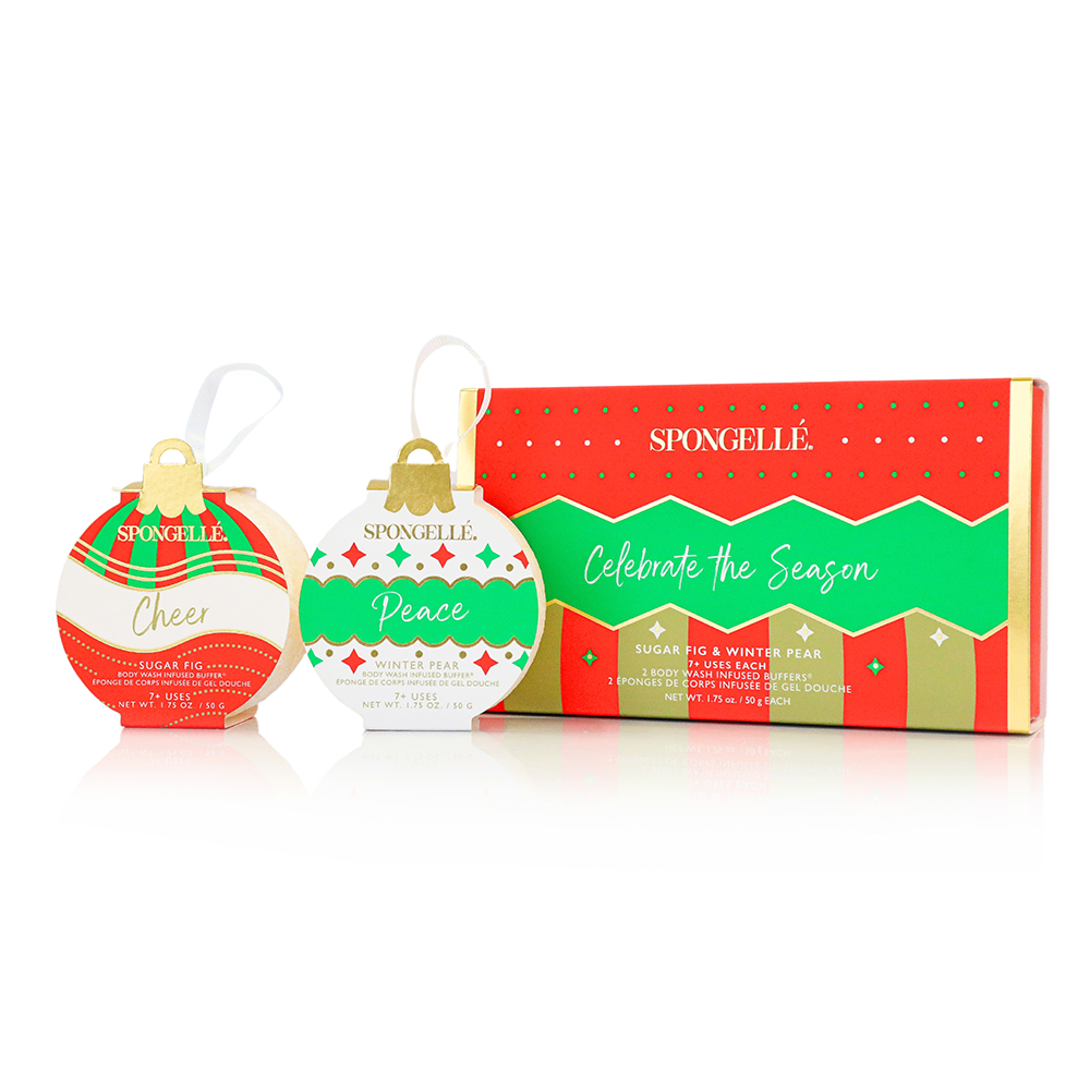 Celebrate the Season Holiday Ornament Gift Set Christmas