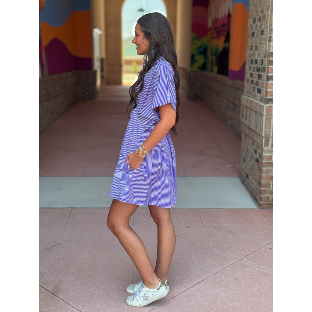 Zoey Button Down Pleated Shirt Dress - Purple Stripe