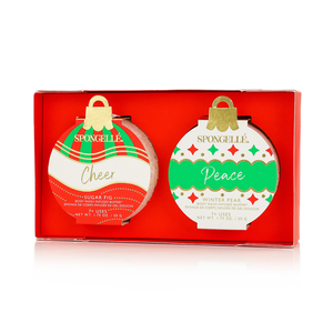 Celebrate the Season Holiday Ornament Gift Set Christmas