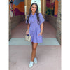 Zoey Button Down Pleated Shirt Dress - Purple Stripe
