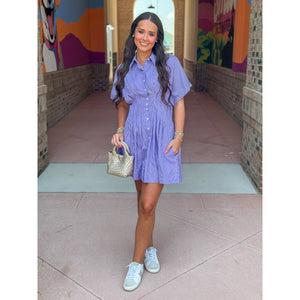 Zoey Button Down Pleated Shirt Dress - Purple Stripe