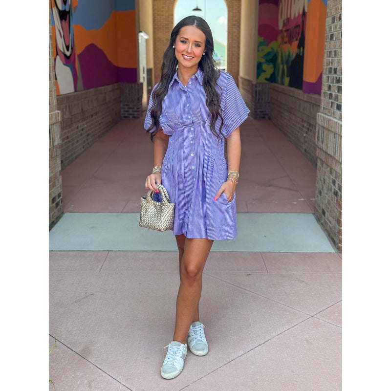 Zoey Button Down Pleated Shirt Dress - Purple Stripe