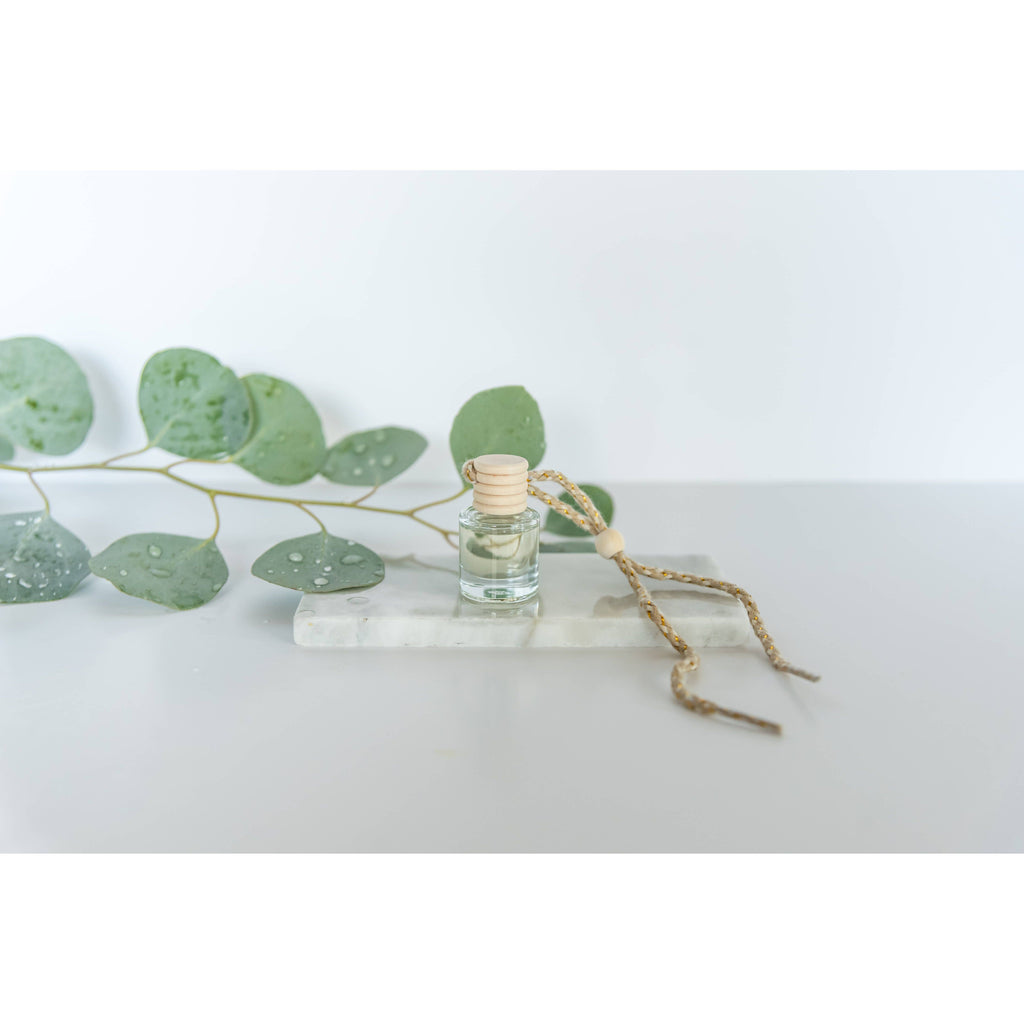 Car Diffuser: Eucalyptus Rain