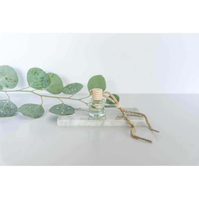 Car Diffuser: Eucalyptus Rain