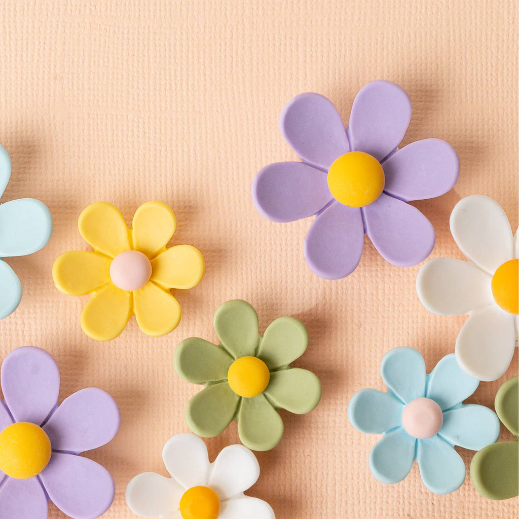 Daisy Delight Magnet Set - Pink