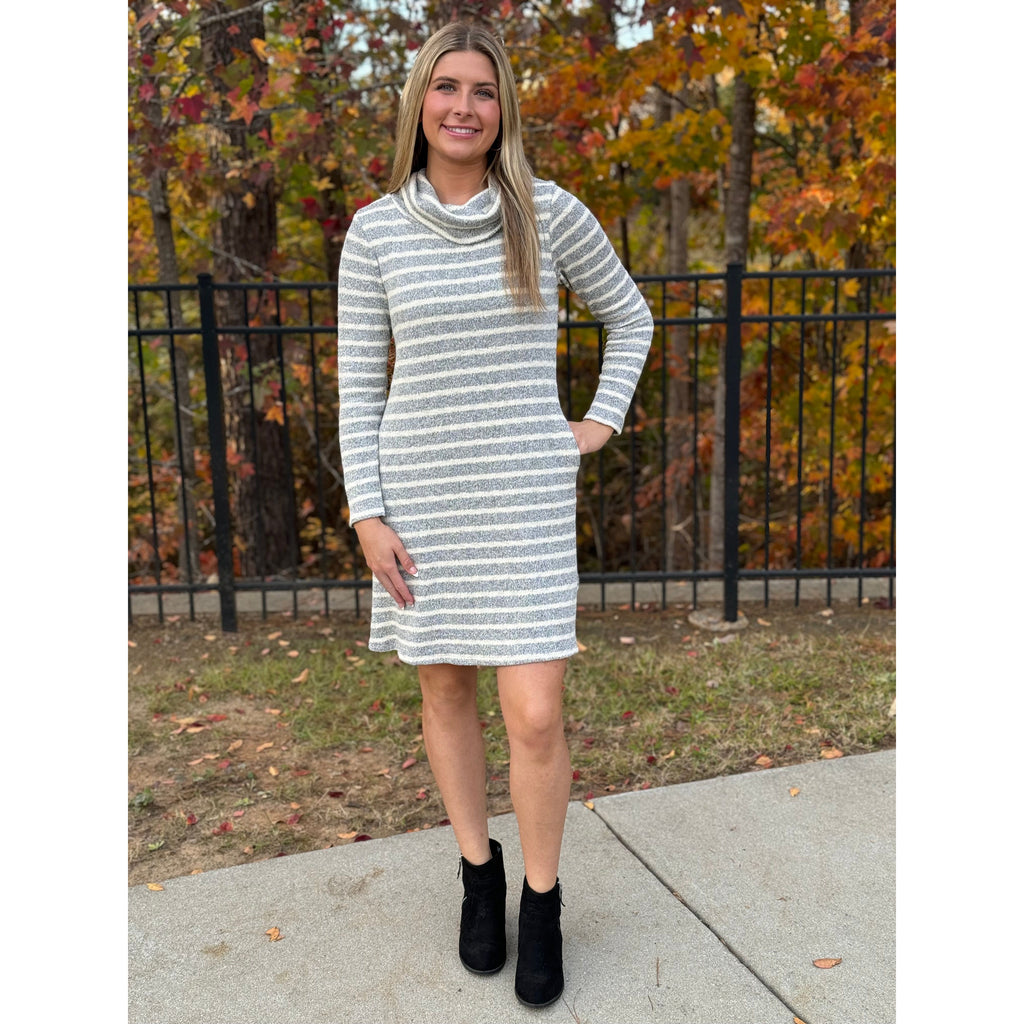 Heidi Turtleneck Long Sleeve Knit Dress - Grey Cream Stripe