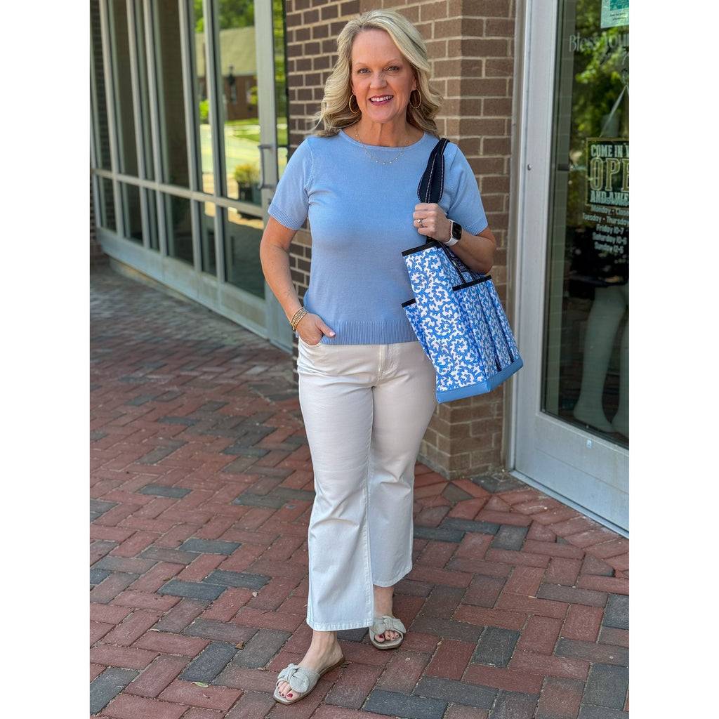 Allison Short Sleeve Fine Gauge Sweater - Sky Blue