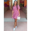 Zoey Button Down Pleated Shirt Dress - Red Stripe
