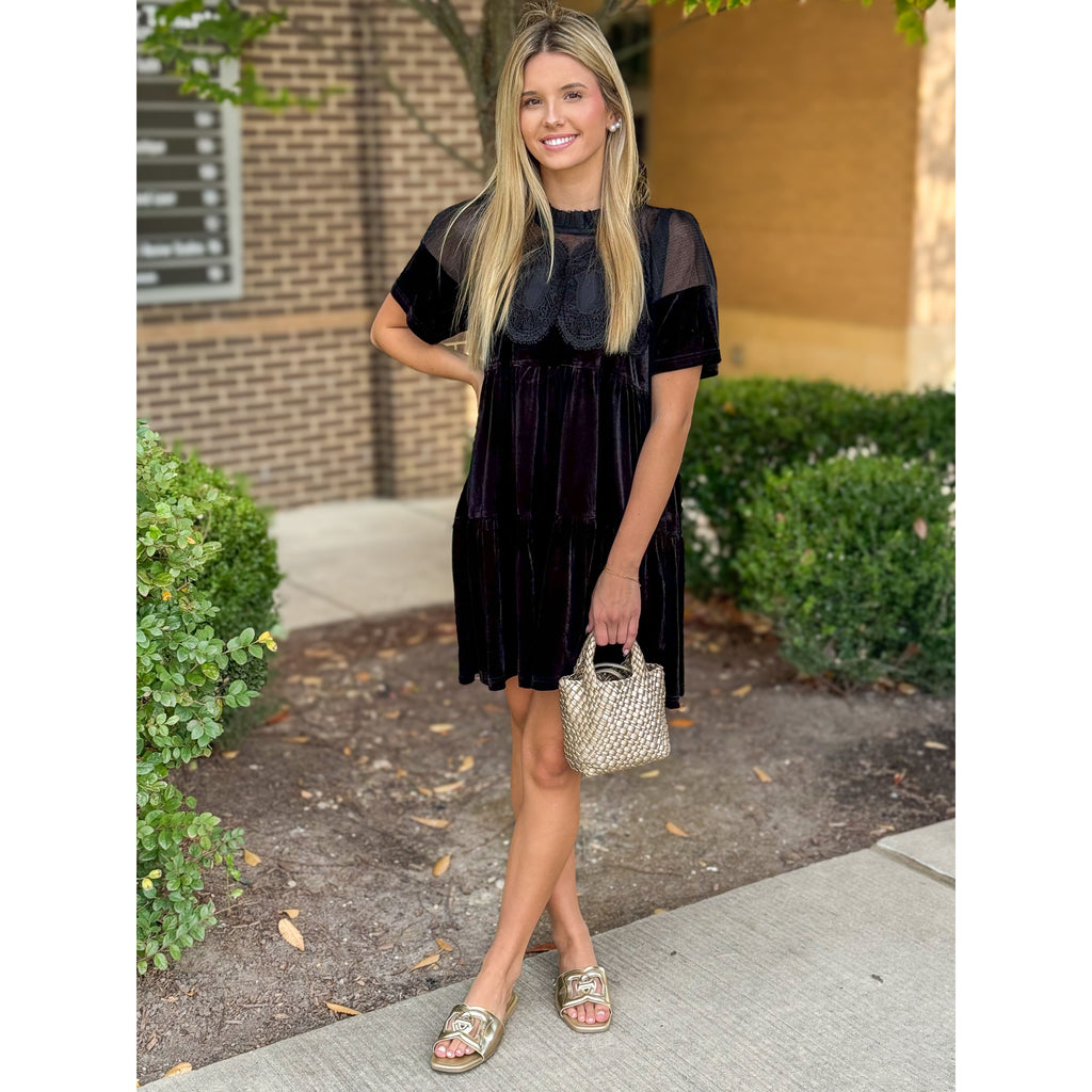 Alexandra Sheer Panel Lace Detail Velvet Dress - Black