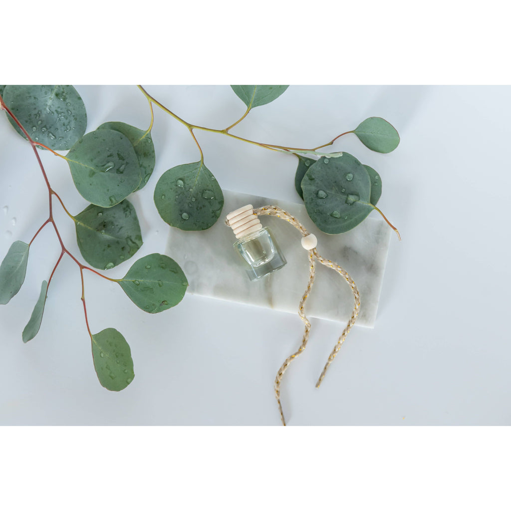 Car Diffuser: Eucalyptus Rain