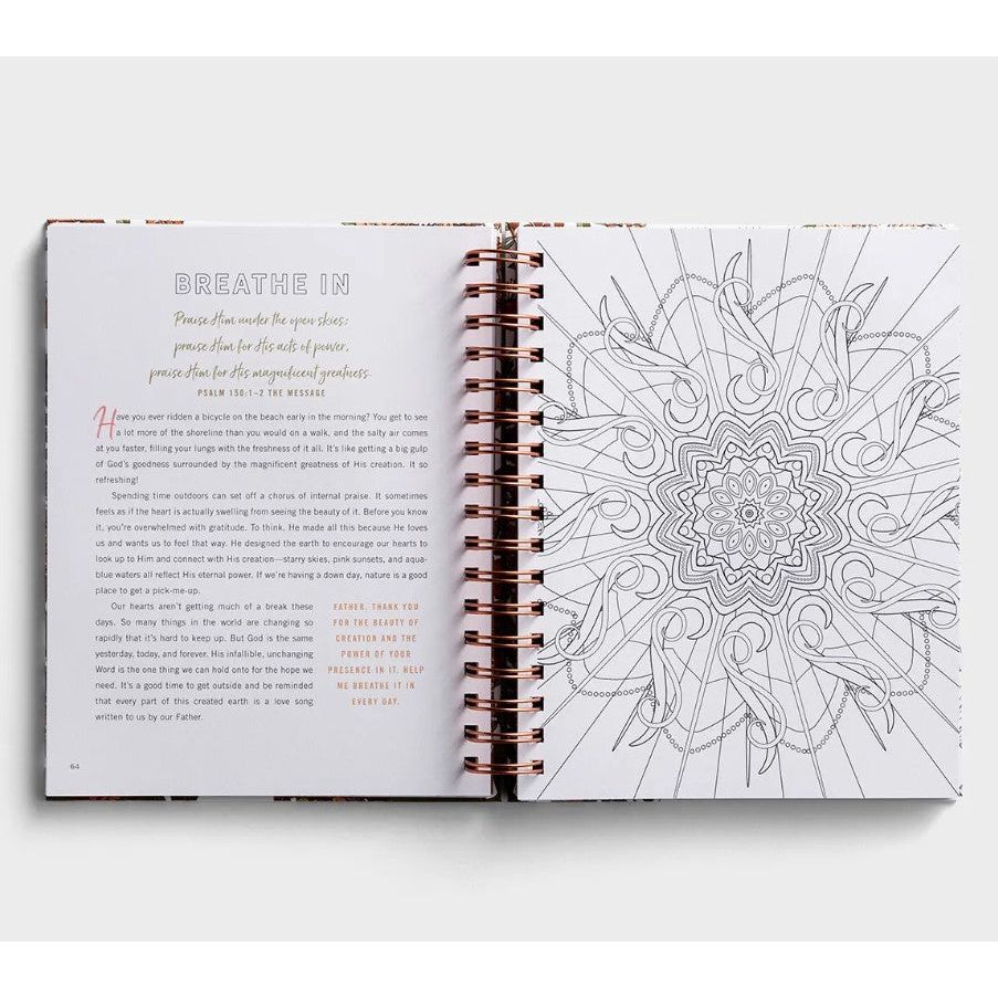 Devotional Coloring Book - Set Your Mind on Things Above