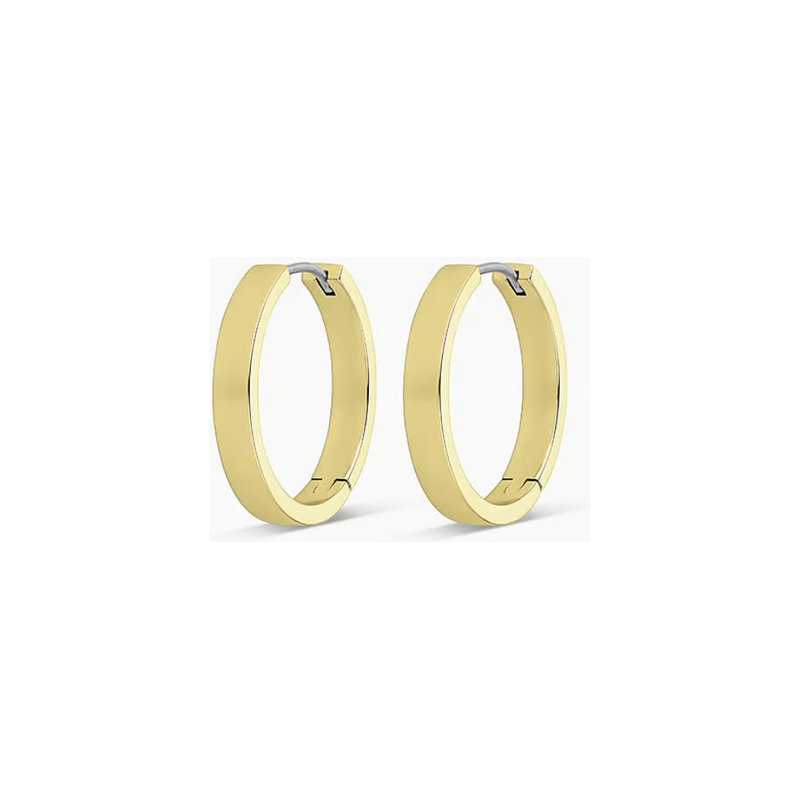 gorjana gold hoops
