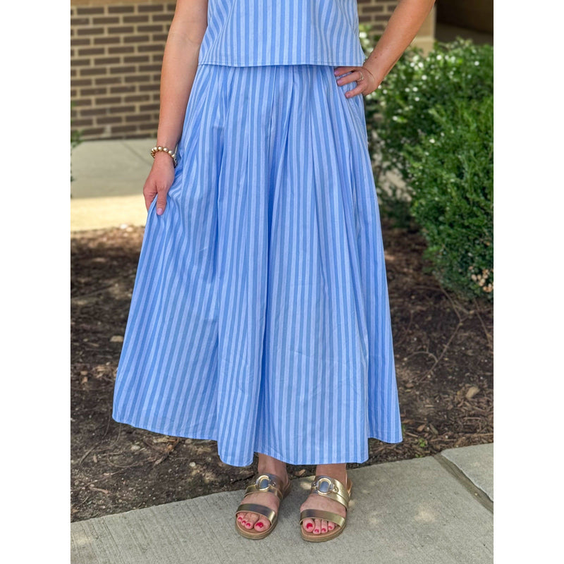 Elsa Stripe Pattern Pleated Skirt - Blue