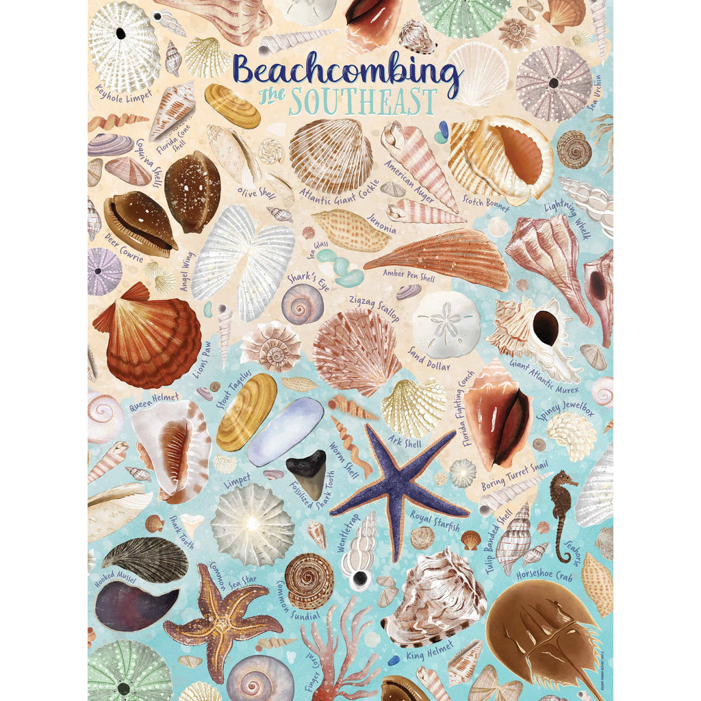 Beachcombing the Southeast Puzzle